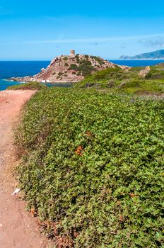 Landscape of coast of sardinia, tower of Porticciolo