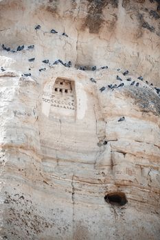 Wild pigeons on a rock with ancient ornament. Turkey Cappadocia