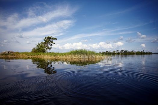 Water landscape. The lake. Beautiful landscape. Water smooth surface and the blue sky with clouds.