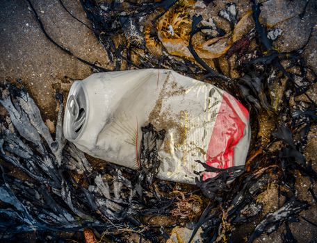 Pollution Image Of A Beer Can On A Beach Surrounded By Seaweed