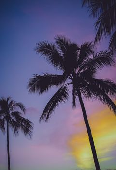 Retro FIltered Photo Of Purple Sunset And Palm Trees In Hawaii