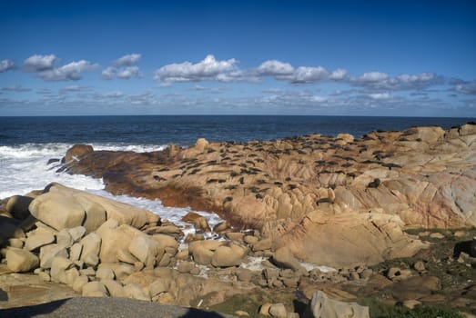 Picturesque view of sea lions lying on rocks near the ocean in Cabo Polonio, Uruguay