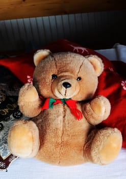 teddy bear