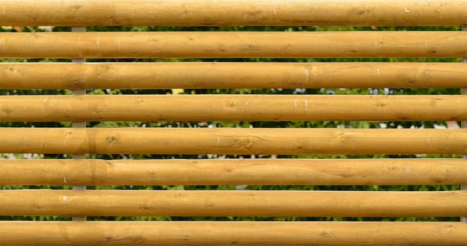 Collection of wood planks. Background of lumber