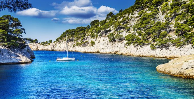 Calanques of Port Pin in Cassis in France near Marseille