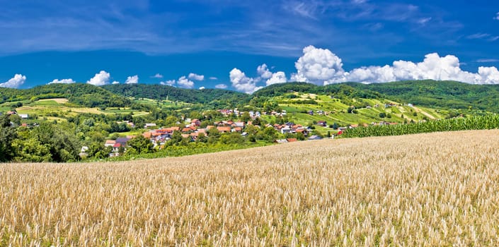 Idyllic agricultural landscape of Kalnik mountain, village of Sudovec in Croatia