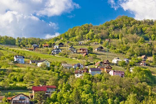 Zagorje hills vineyards and cottages, Krapina, Croatia