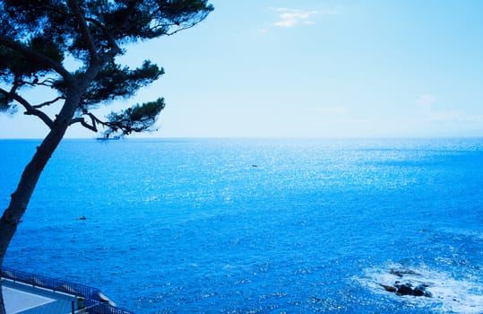 Sea landscape with big tree on the left side