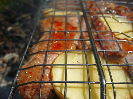 Barbeque fried on the bonfire and coals