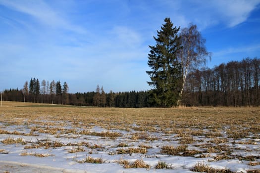 Photo presents winter countryside with snow, trees and blue sky in the Czech republic.