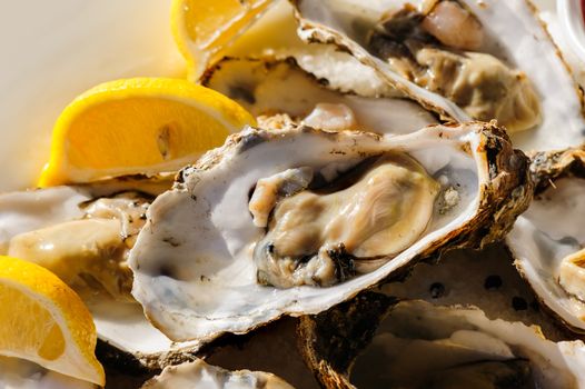 plate of oysters with lemon and special sauce