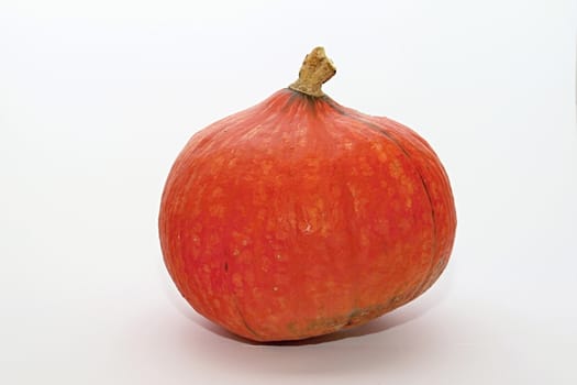 Photo of Pumpkin  perfectly fit to company presentations as well as private purposes for Halloween time.