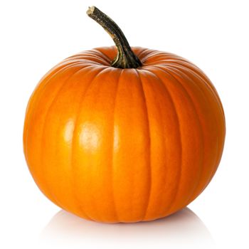 Pumpkin on white background. Fresh and ripe