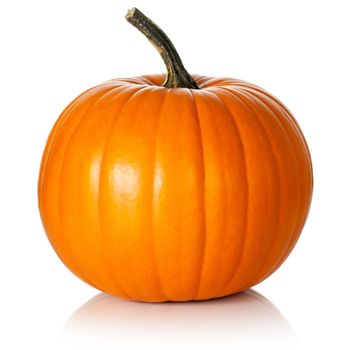 Pumpkin on white background. Fresh and orange