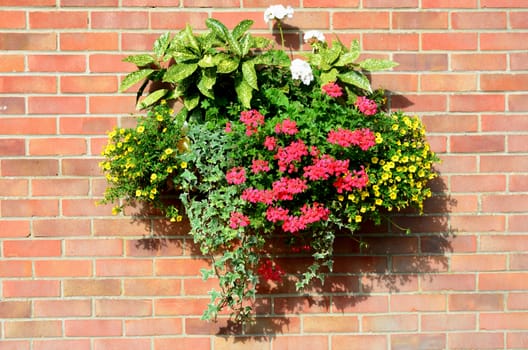 Flowers on brick Wall