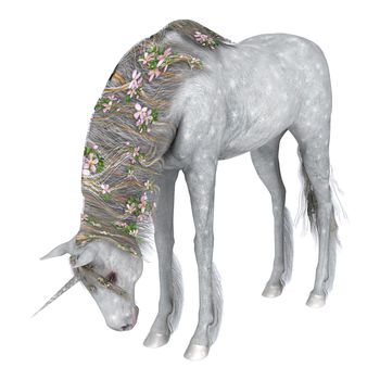 3D digital render of a beautiful white fantasy unicorn isolated on white background