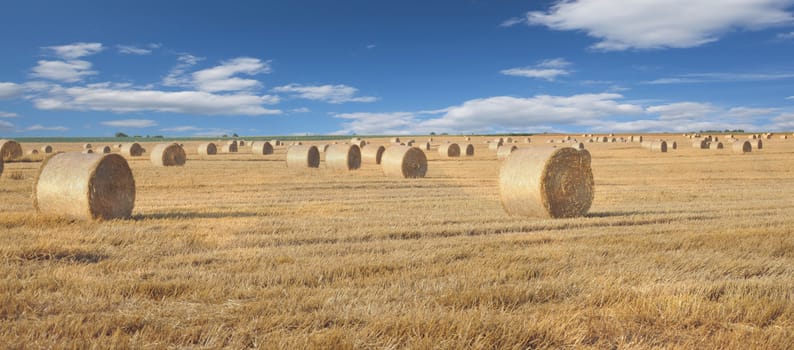 haystack against the blue sky