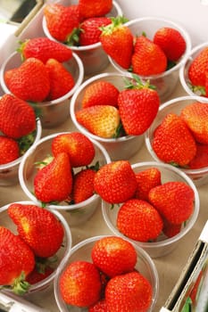 Fresh organic strawberries packed in plastic cups