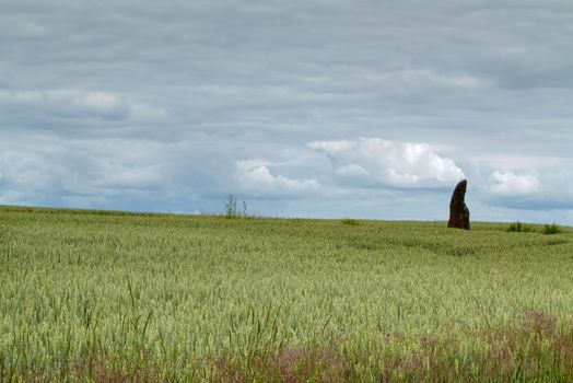 Menhir Stone Shepherd (also Stone Man, Petrified Man or Petrified minister) is a menhir standing alone in a field 1 km northwest of the village Klobuky, district Kladno. This is the highest menhir in the Czech Republic.  3.5 m tall columnar rock uncut dark iron Cretaceous sandstone. This is one of the few stones in the country, which we can with high probability be considered a real prehistoric menhir.