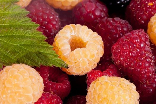 background of group of red and white raspberries macro
