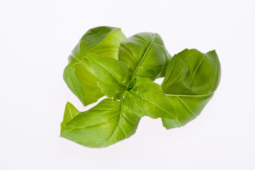 some leaves of basil isolated on white background