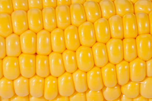 background of yellow corn grains on the colb macro