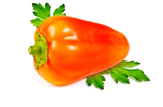 Juicy red and yellow sweet pepper and green parsley leaves on white background