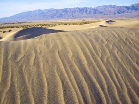 Shifting sands on Death Valley dunes