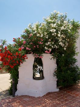 Mediterranean Draw-Well in Surrounded Beauty Flowers Outdoors