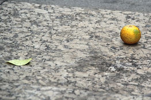 Photo of Lemon and Leaf on the Street made in the late Summer time in Spain, 2013