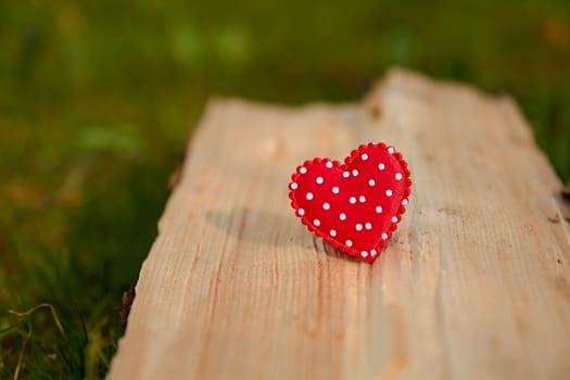 Photo shows details of red heart with the green garden background on a wood.