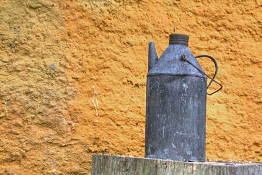 Photo shows rural ewer with yellow background.