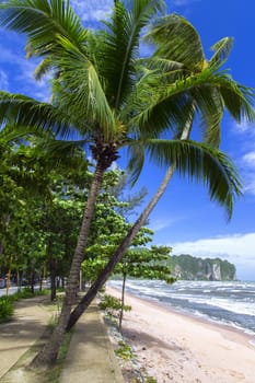 Beach Path Along The Sea. Krabi Province, Thailand