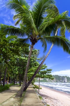 Beach Road Along The Sea. Krabi Province, Thailand