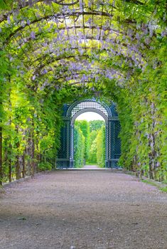 Photo shows general view of garden of Schonbrunn Palace.