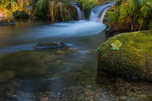 Fall leaf on moss stone over motion blur stream or river in autumn forest