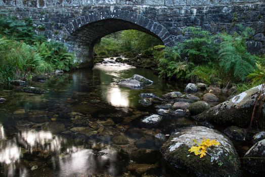 Fall leaf on moss stone over motion blur stream or river in autumn forest