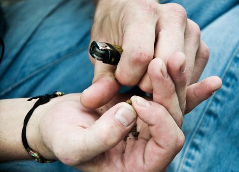 Closeup at the hands of Caucasian man rolling a Marijuana joint