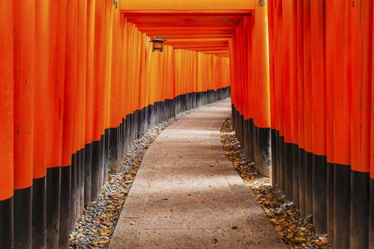 Fushimi Inari shrine in Kyoto, Japan.