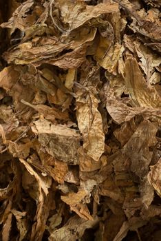 Bulk tobacco being mixed in a cigarette factory for cigarettes production