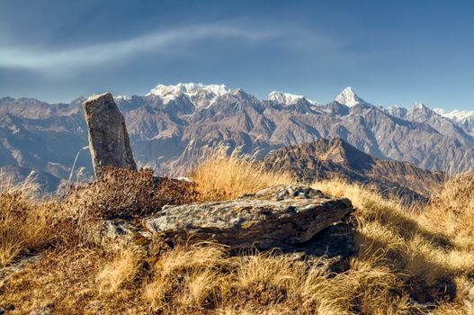 Close-up view of moss covered rocks in Kuari Pass, India