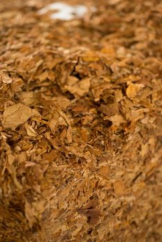 Bulk tobacco cube in preparation for production of cigarettes