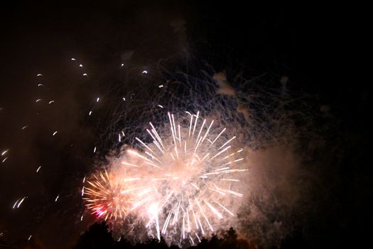Celebrating firework in the black night sky