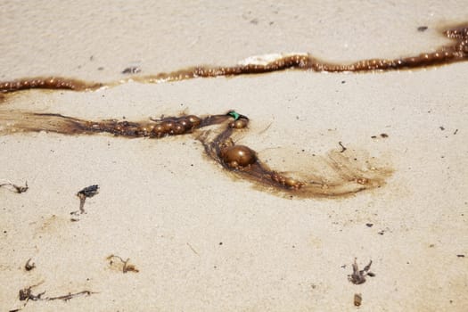 Oil and Sand, Oil Spill on Beach