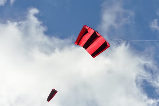 Red and Black Kite in sky