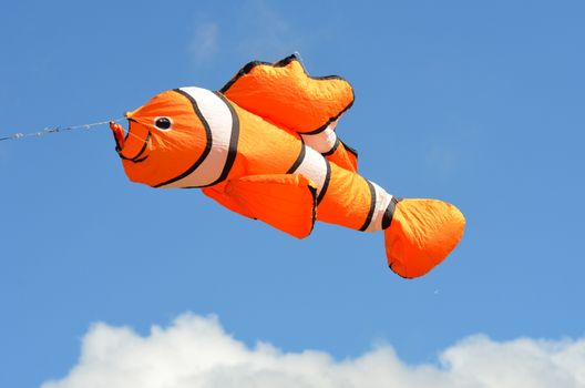 Orange fish kite