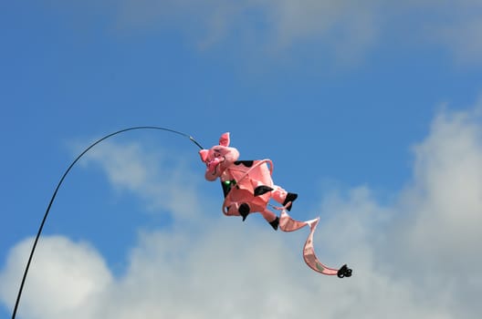 Novelty pig kite flying