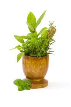 Mortar with fresh herbs on white background