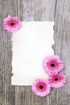 pink gerberas and empty sheet on a wooden board, vintage style