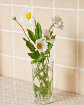 bouquet of daisies on the kitchen table